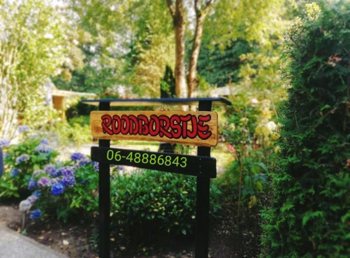 Roodborstje 4 Persoonschalet Putten Exterior photo